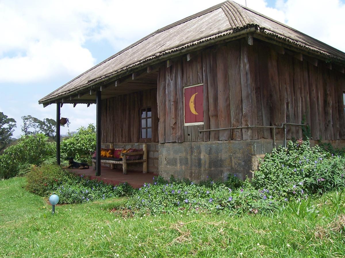 Castle Forest Lodge Mount Kenya National Park Exterior photo