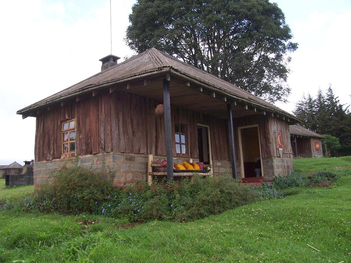 Castle Forest Lodge Mount Kenya National Park Exterior photo