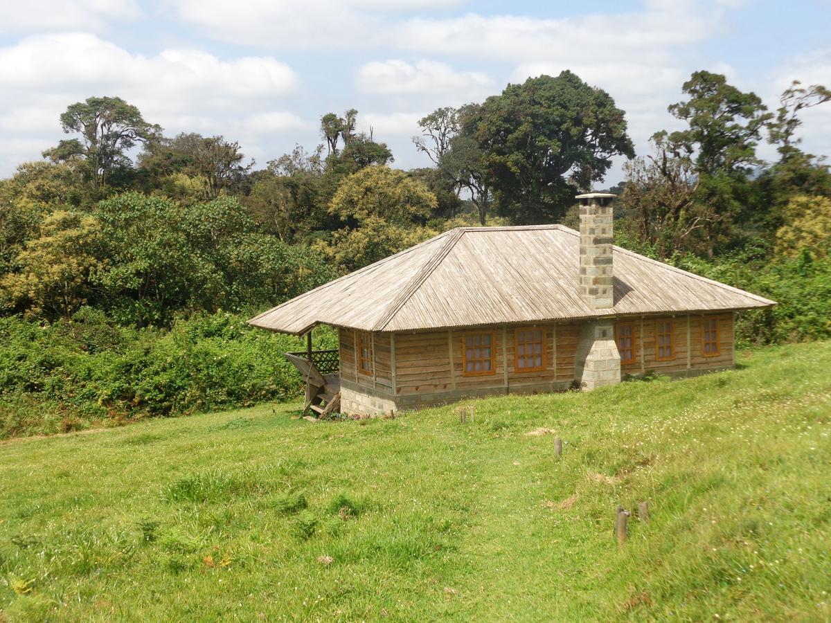 Castle Forest Lodge Mount Kenya National Park Exterior photo